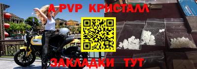 прущие грибы Малгобек