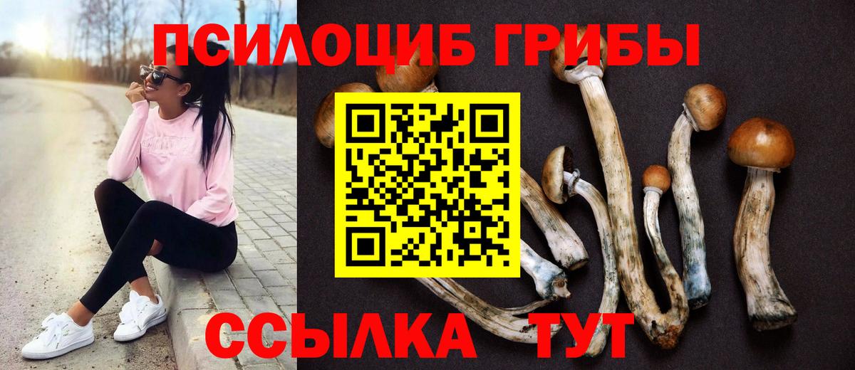 Шарыпово  Псилоцибиновые грибы Psilocybe  Вход с VPN 